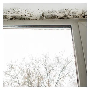 Coral Gables Restoration Company, Coral Gables, FL 786-363-3847 - sb-ser-03